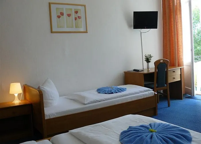 가슈타이너 호프