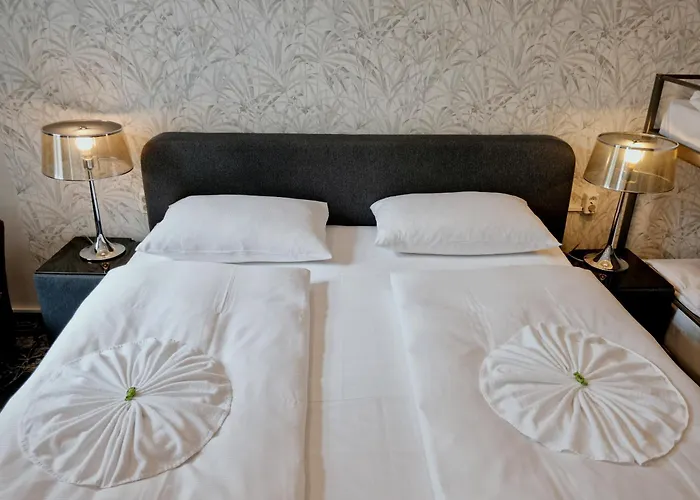 가슈타이너 호프